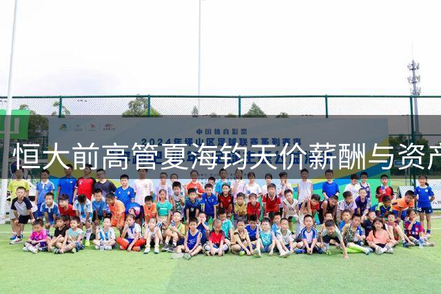 恒大前高管夏海钧天价薪酬与资产套现内幕